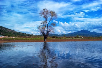 3坝上-李国建1