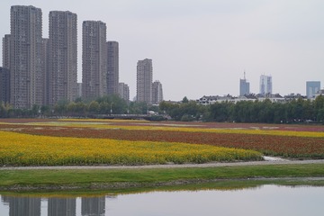 925961
