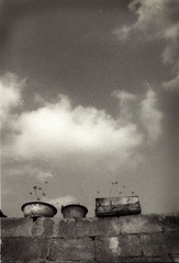 IMG1372 拷贝.jpg