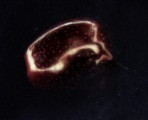 522594