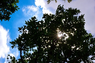 世博天空-2