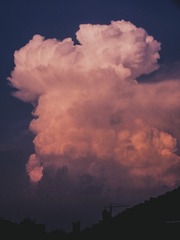 FA0F5CC1-4F1F-4B16-BA9B-8988B1942326/L0/001