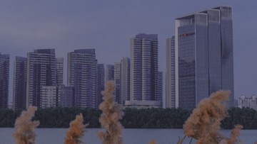 DSCF2328
