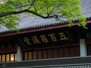 FF93BEF0-7794-4EC2-BC25-8ACD5F83AABC/L0/001