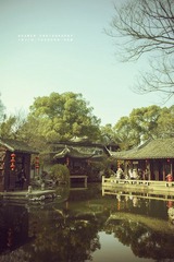IMGP8824-2.jpg
