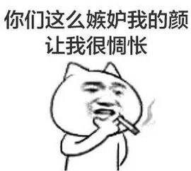 228529186.jpg