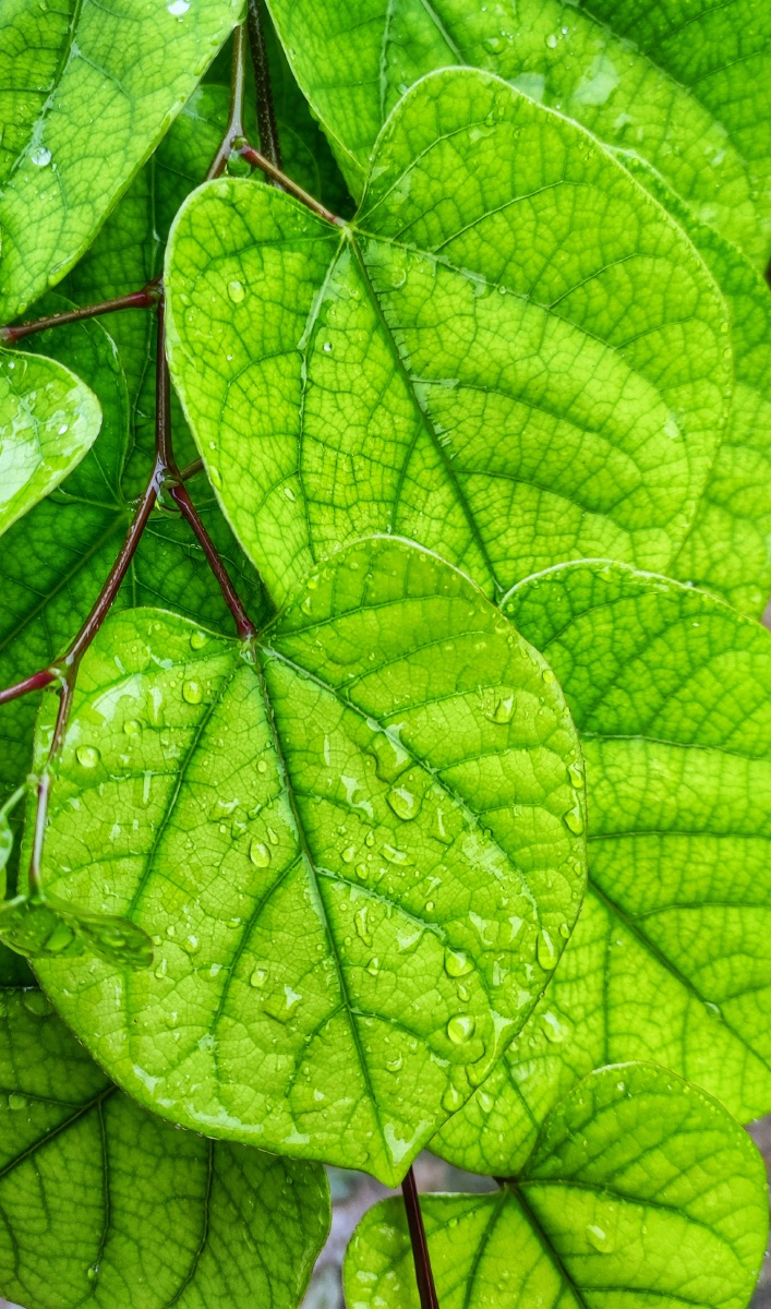 绿色人民的子弟兵你们是好样的强强在抗洪救灾一线希望你们保证自己