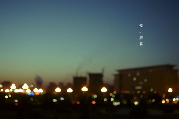 _DSC0378