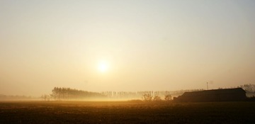 DSC07545.jpg