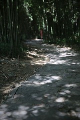 DAZE0898.JPG