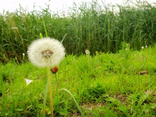 DSC04834_副本.jpg