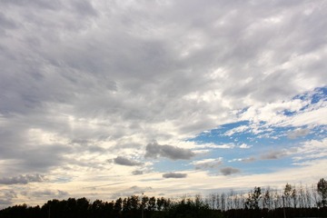 IMG_0255_副本.jpg