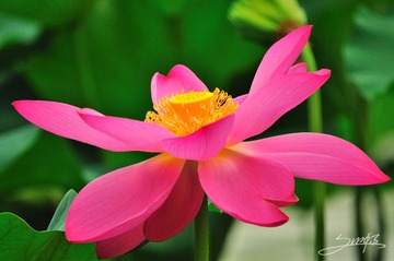 DSC_0603 拷贝.jpg