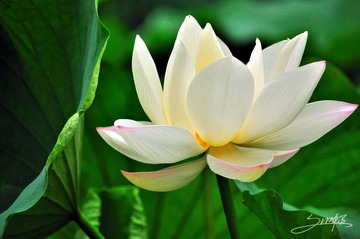 DSC_0639 拷贝.jpg