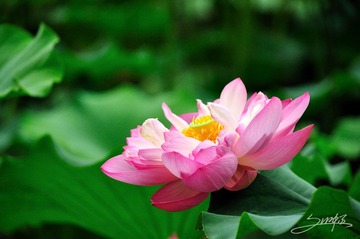 DSC_0682 拷贝.jpg