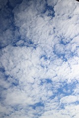 20180830162411_IMG_2657