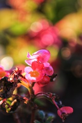 20181029160453_IMG_3270-01