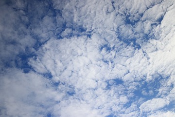 20180830162427_IMG_2659