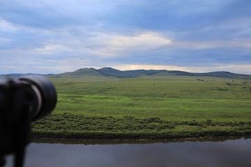 1M7A1154