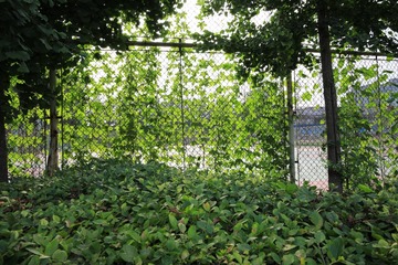 1M7A0472