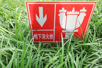 1M7A0447