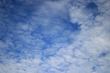 20180830162302_IMG_2652