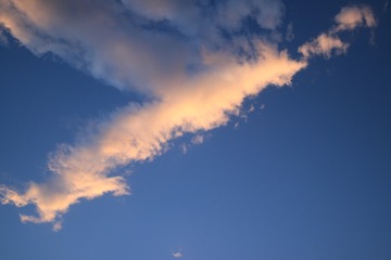 497824