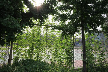 1M7A0473