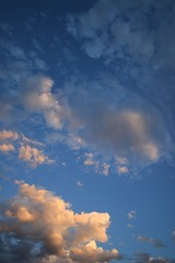 497830