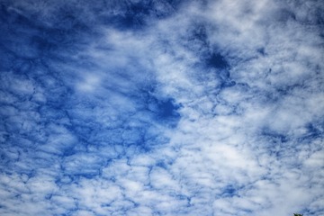 20180830162355_IMG_2655-01