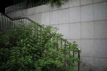 1M7A2419