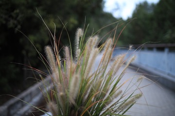 20180925182359_1M7A2249