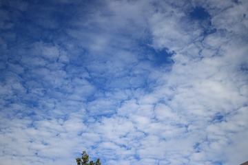 20180830162334_IMG_2653