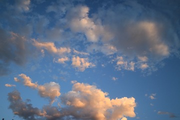 497832