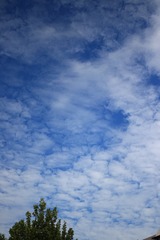 20180830162403_IMG_2656