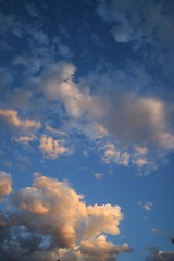 497831