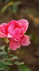 DSC04035-02