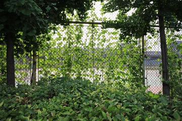1M7A0475
