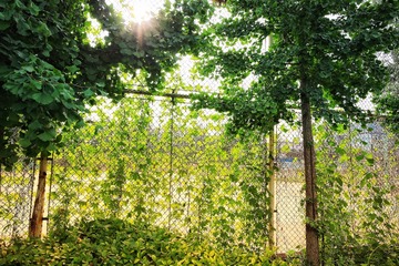 20180714165822_1M7A0473-01