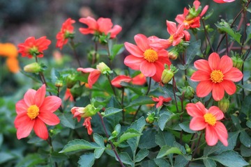 20181014155720_IMG_3137-01