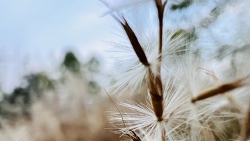 F887DF7E-B995-4847-A41A-E6777829253A/L0/001