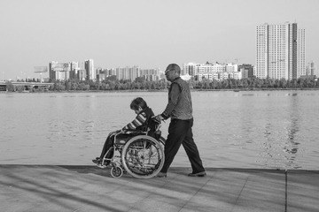 菩提树与橡树