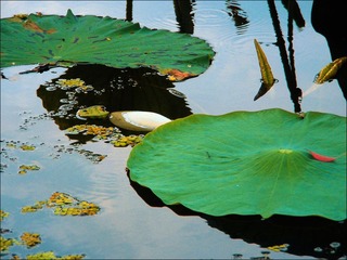 DSCN8368.jpg