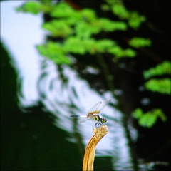 DSCN8372.jpg