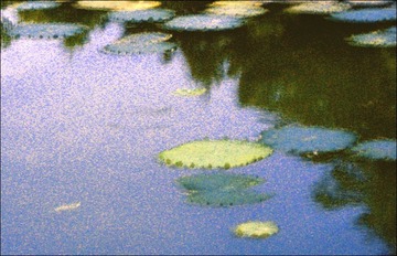 DSCN8470。。。.jpg
