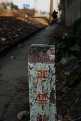 IMGP0247_副本.jpg