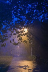 20131123-IMGP3923