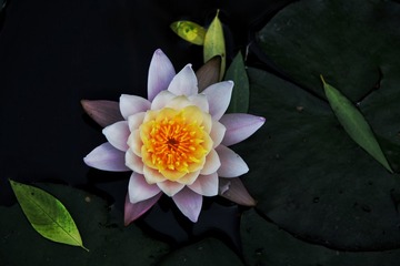 001