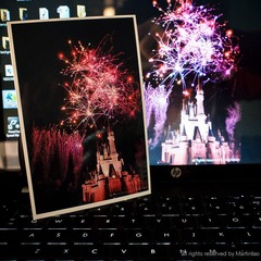 last photo print paper