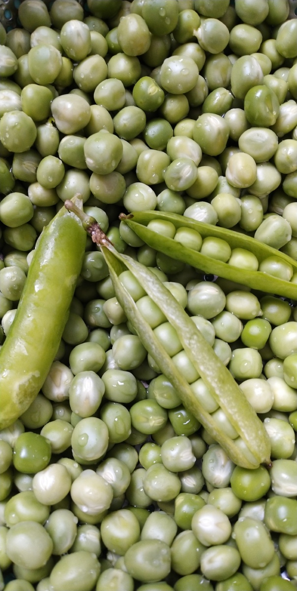 才剥离的嫩豌豆